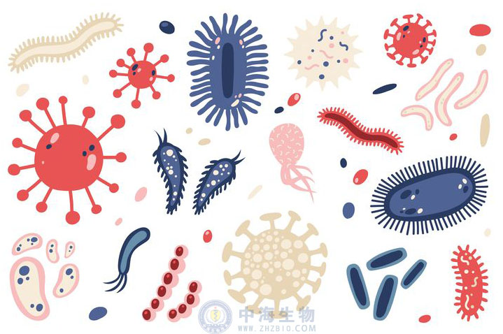微生物是什么？哪些營(yíng)養(yǎng)物質(zhì)促進(jìn)微生物生長(zhǎng)繁殖？